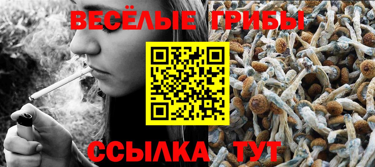 Галлюциногенные грибы мухоморы  Псилоцибиновые грибы мухоморы  Амурск  Вход с VPN 
