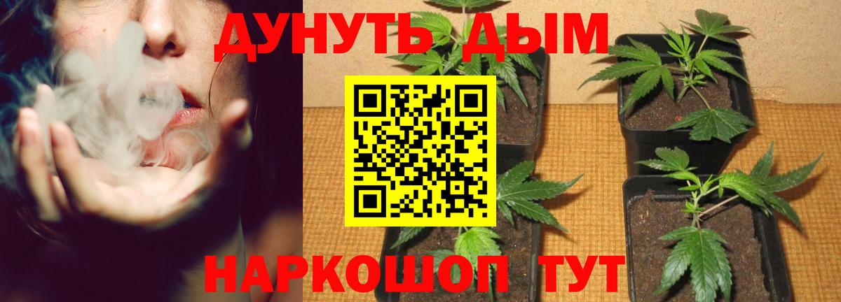 Амурск  Шишки марихуана конопля  Бошки марихуана тримм  Вход с VPN 